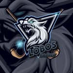 Lobos do Hockey